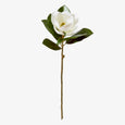 White Magnolia Grand Stem 66cm