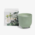 Botanical Forest Candle With Box