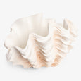 Clam Shell Planter Front