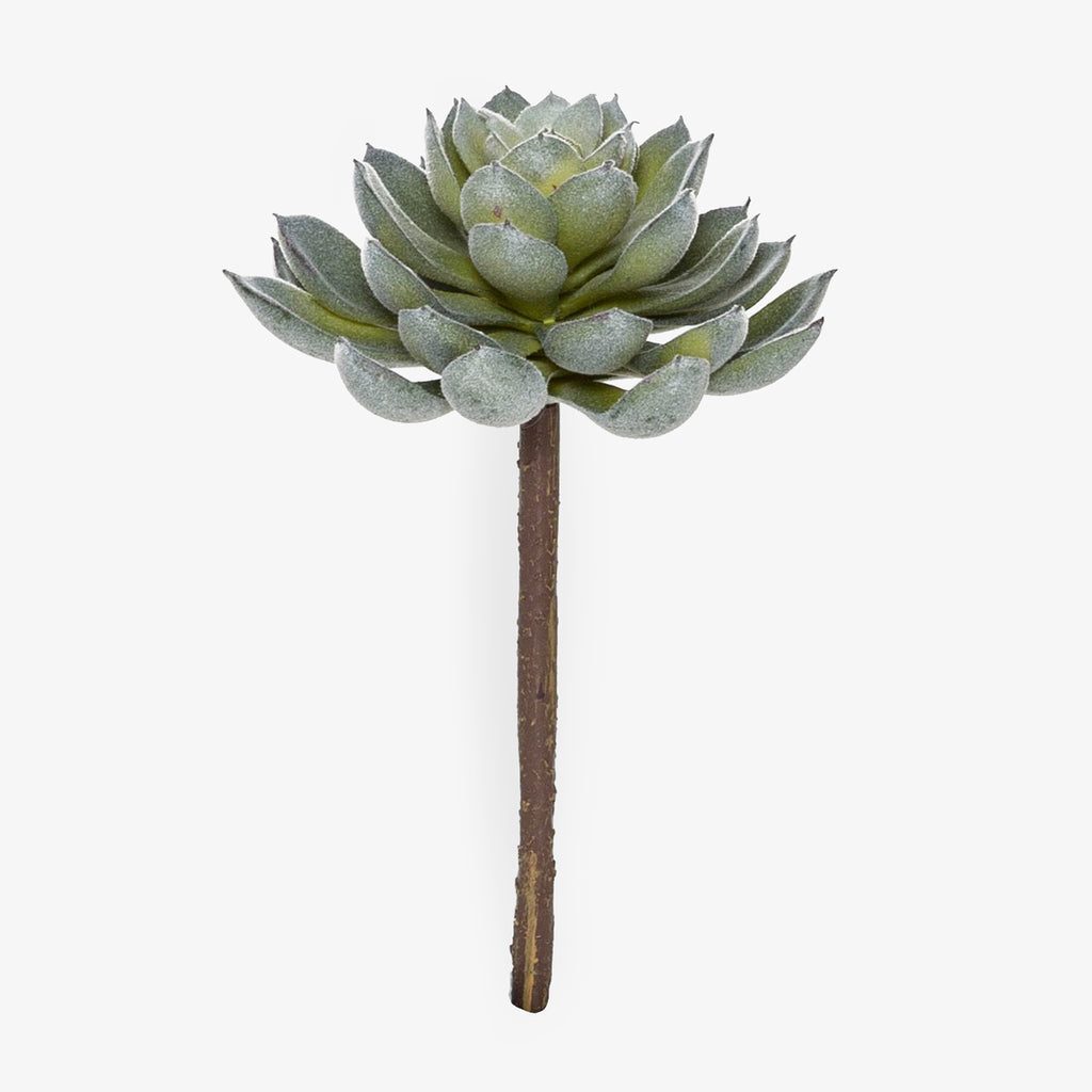 Artificial Echeveria Succulent 15cm