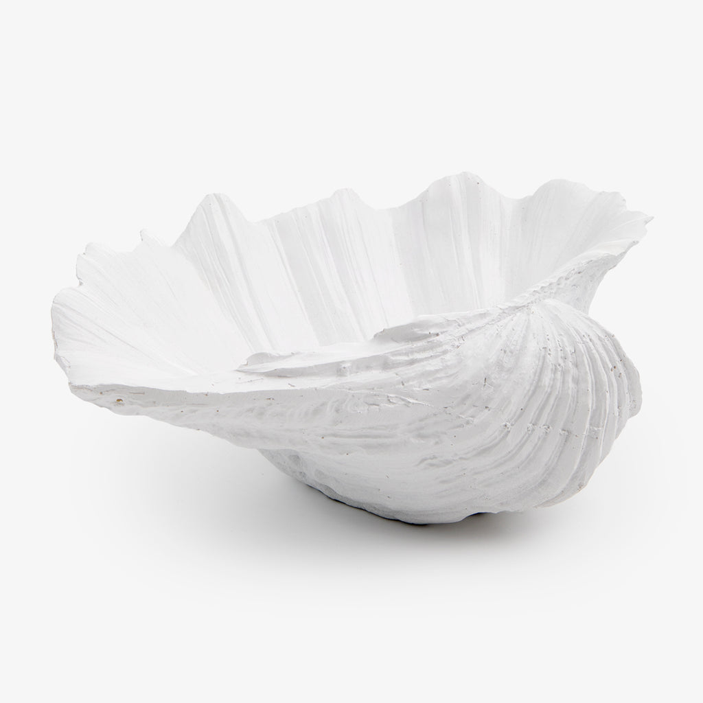 Clam Shell White 24cm