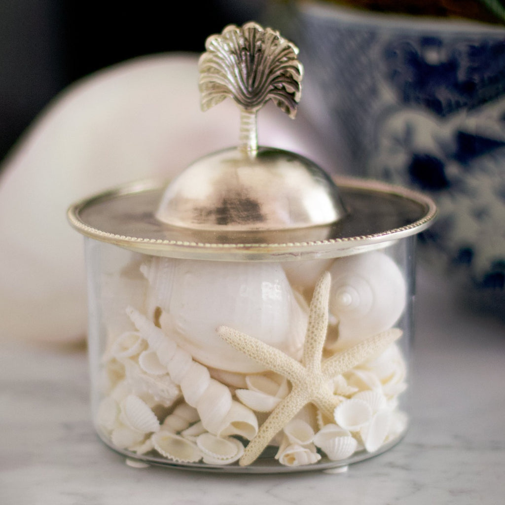Glass Box Container With Silver Lid Palm