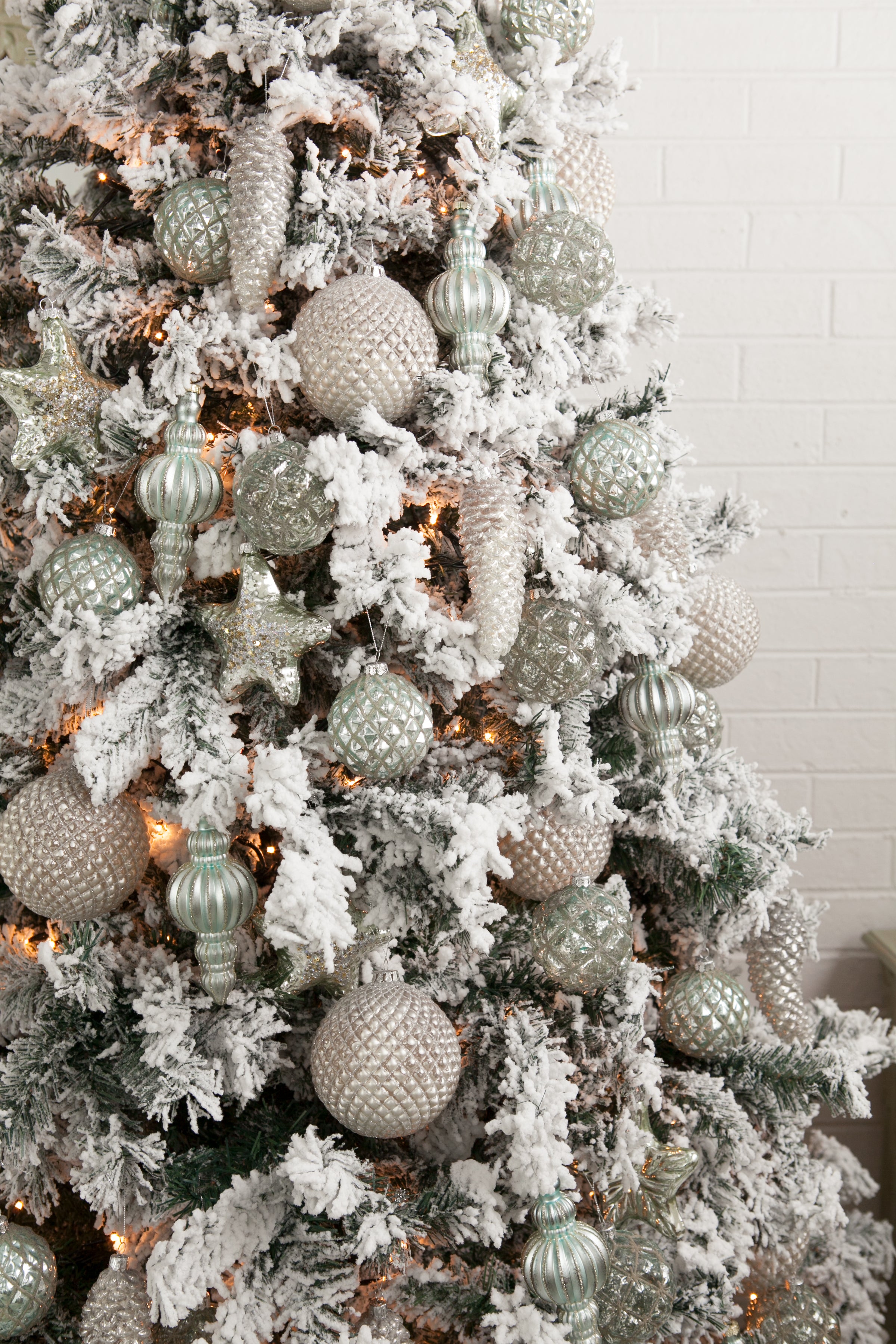 Choosing Your Christmas Tree