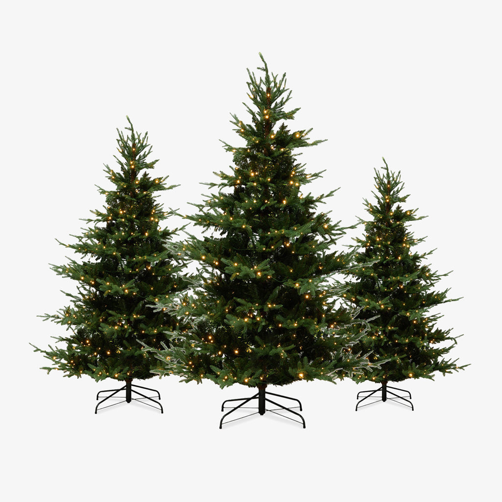 Vail Pre-Lit Christmas Trees Group Shot