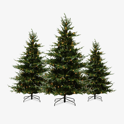 Vail Pre-Lit Christmas Trees Group Shot