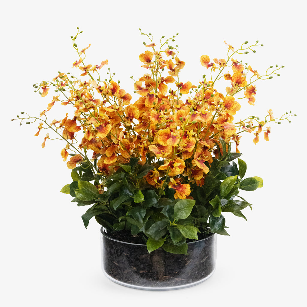 Artificial Dancing Orchid Mix in Glass Bowl 67cm Front