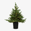 Christmas Tree in Vase 90cm Front View