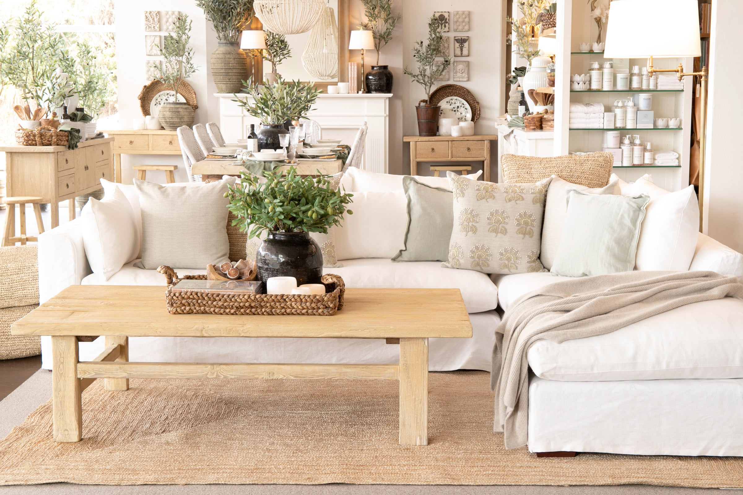 A living room display in our Collaroy store showing a lounge with soft green cushions and a raw elm coffee table.