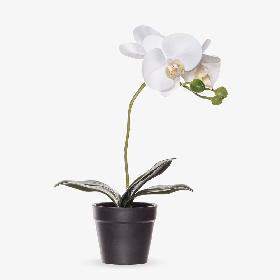 Artificial Flower Arrangement Butterfly Orchid Garden Pot 30cm