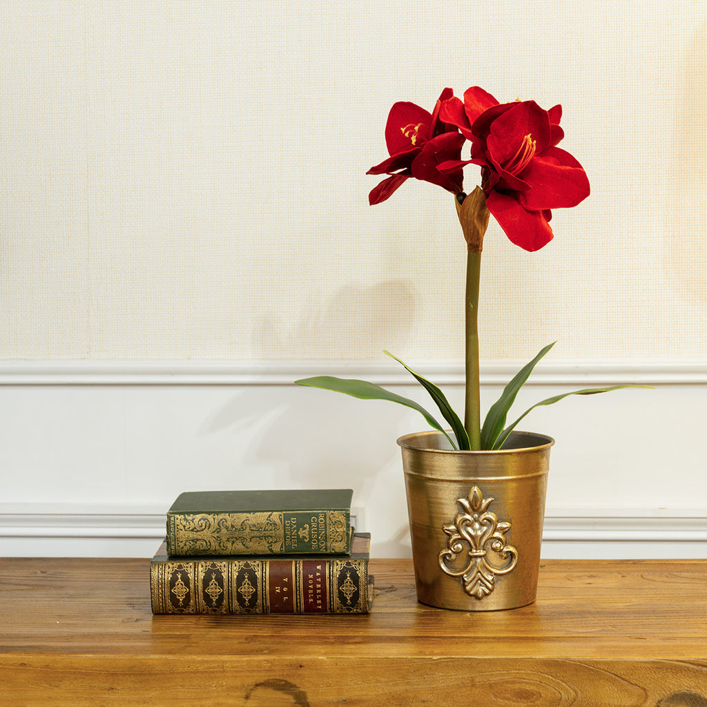 Artificial Amaryllis In Black Pot (Red)