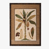 Banana Palm Print Artwork Front