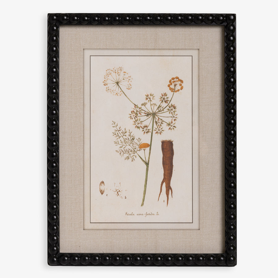 Wall Print | Botanical Print With Black Wood Frame Root