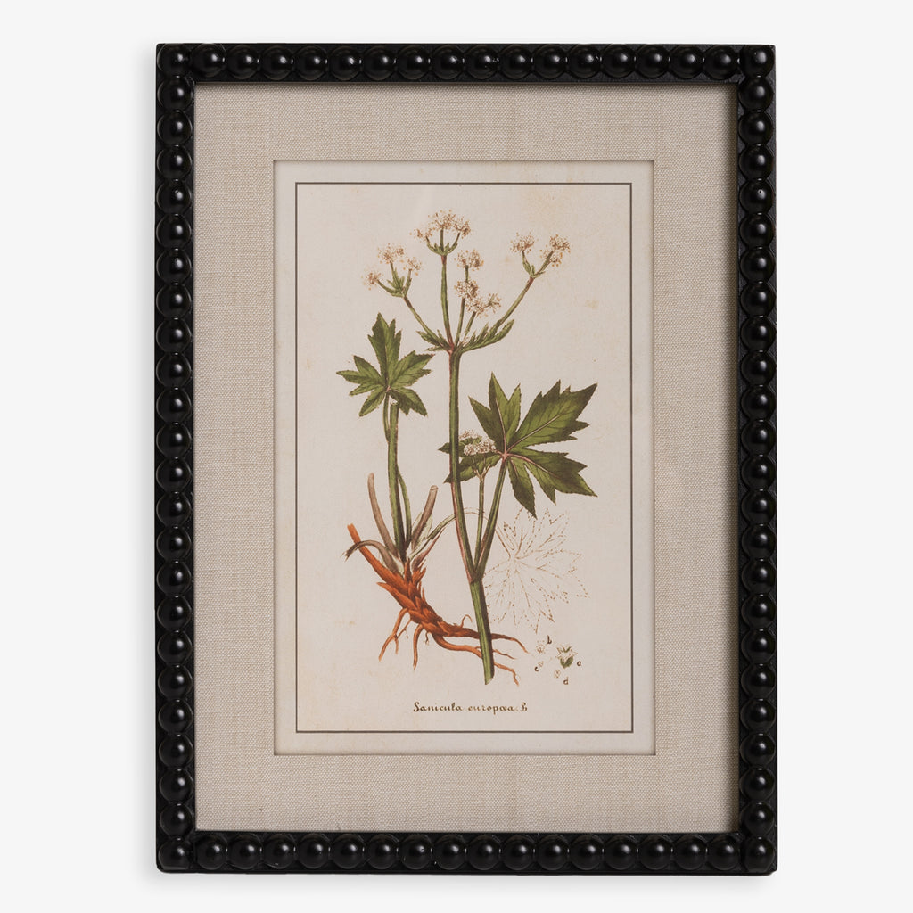 Botanical Print With Black Wood Frame Spring