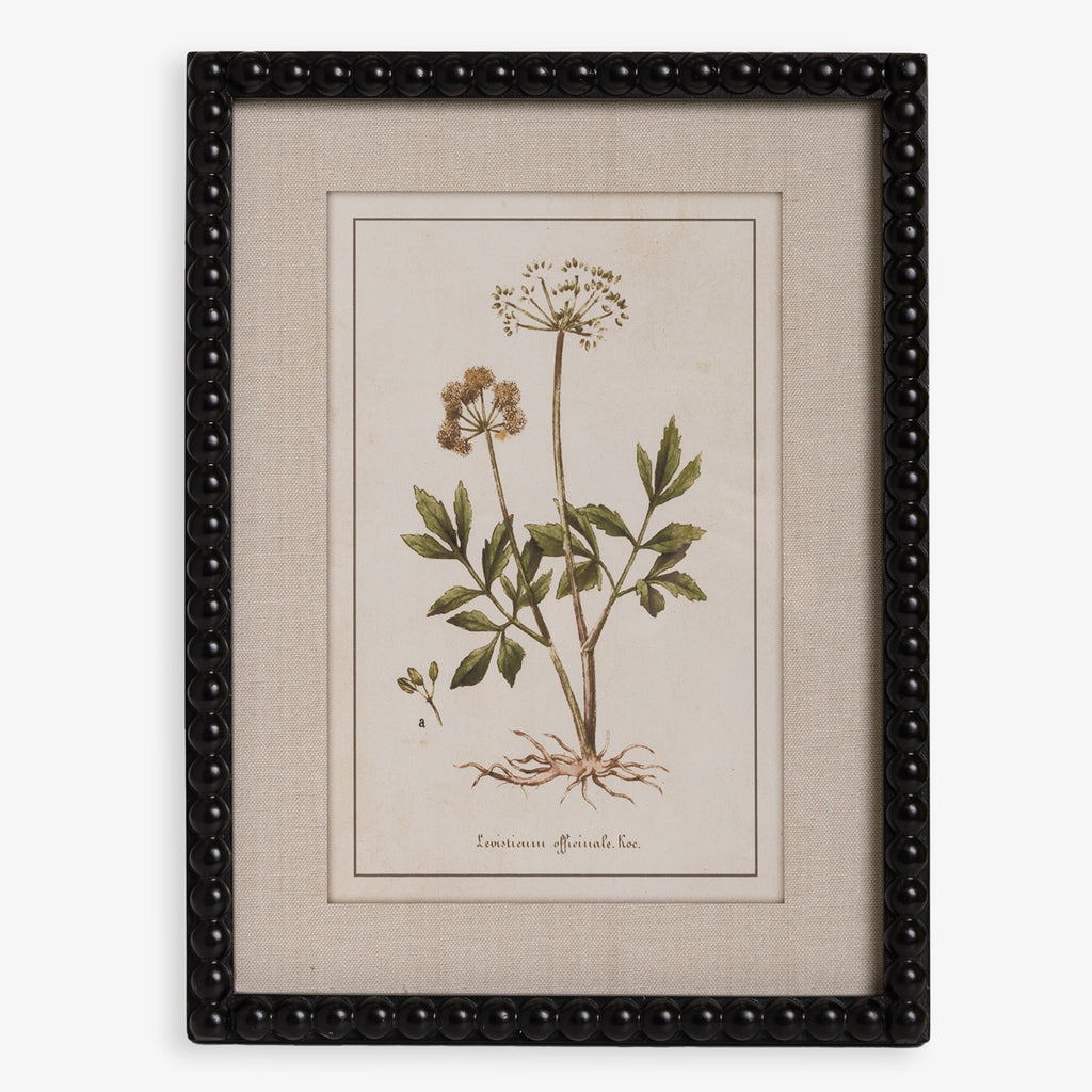 Botanical Print With Black Wood Frame Summer Front