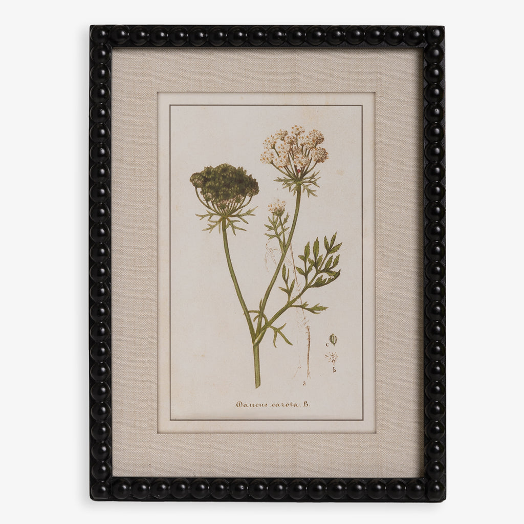 Botanical Print With Black Wood Frame Verdant Front