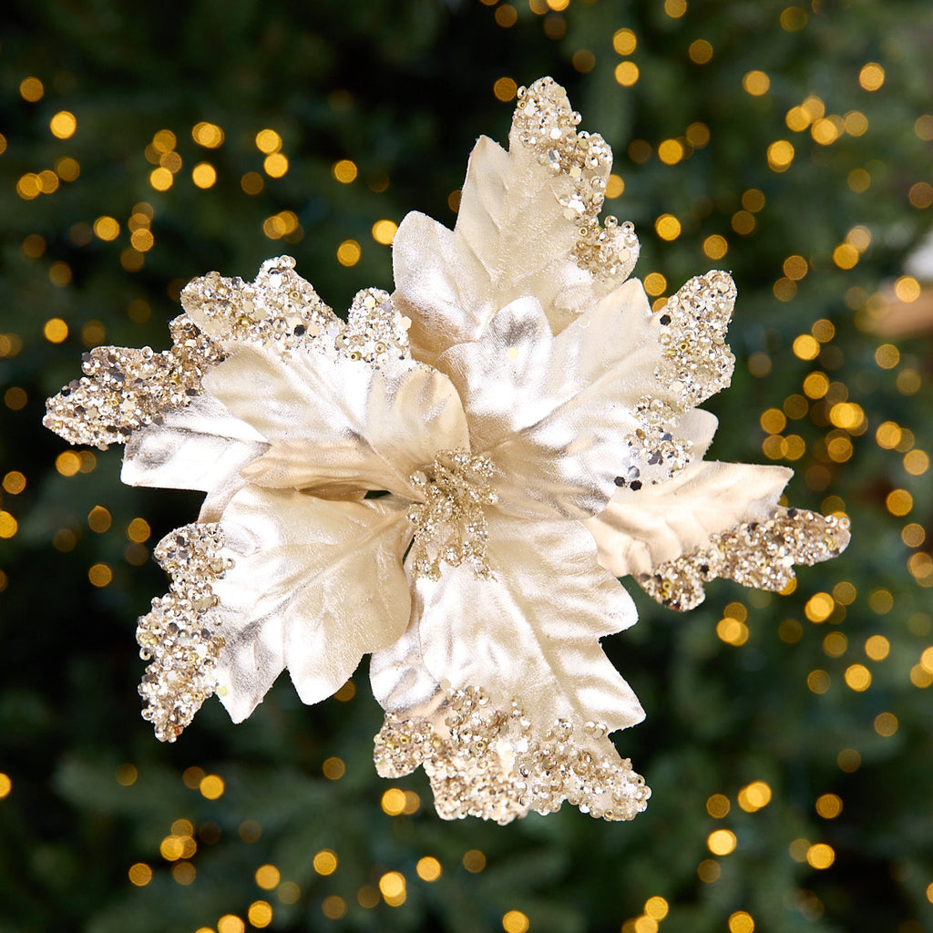 Poinsettia Flower (Champagne) Styled