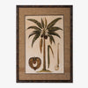 Cocoa Nut Palm Print Artwork Front