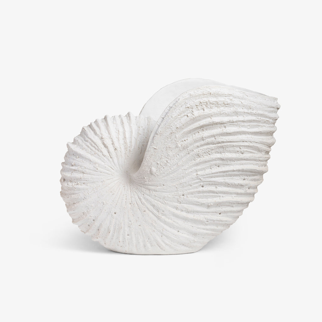 White Conch Shell Sculpture side view