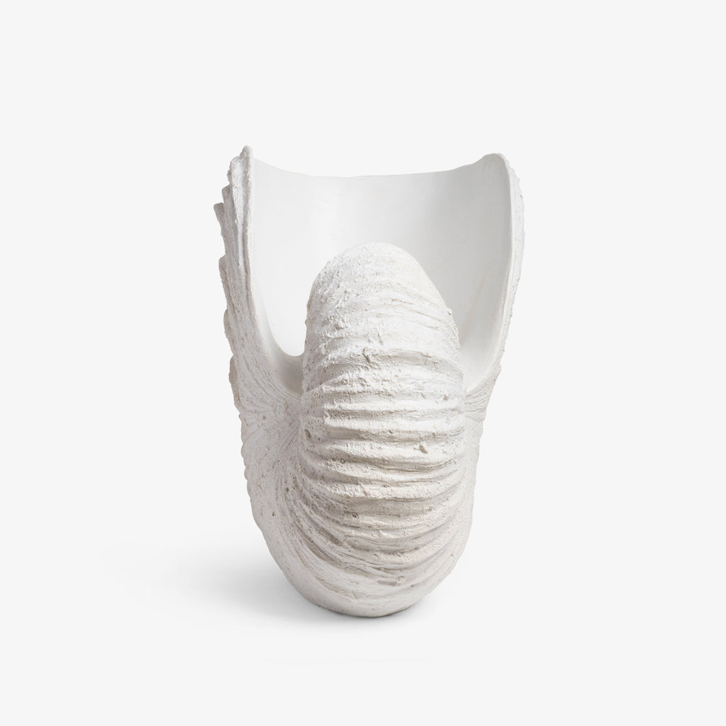 White Conch Shell Sculpture end on view