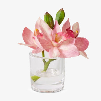 Cymbidium Orchad Pink 15x8x15cm Front