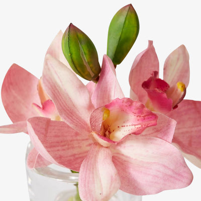 Cymbidium Orchad Pink 15x8x15cm Detail