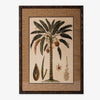 Date Palm Print Artwork Styled