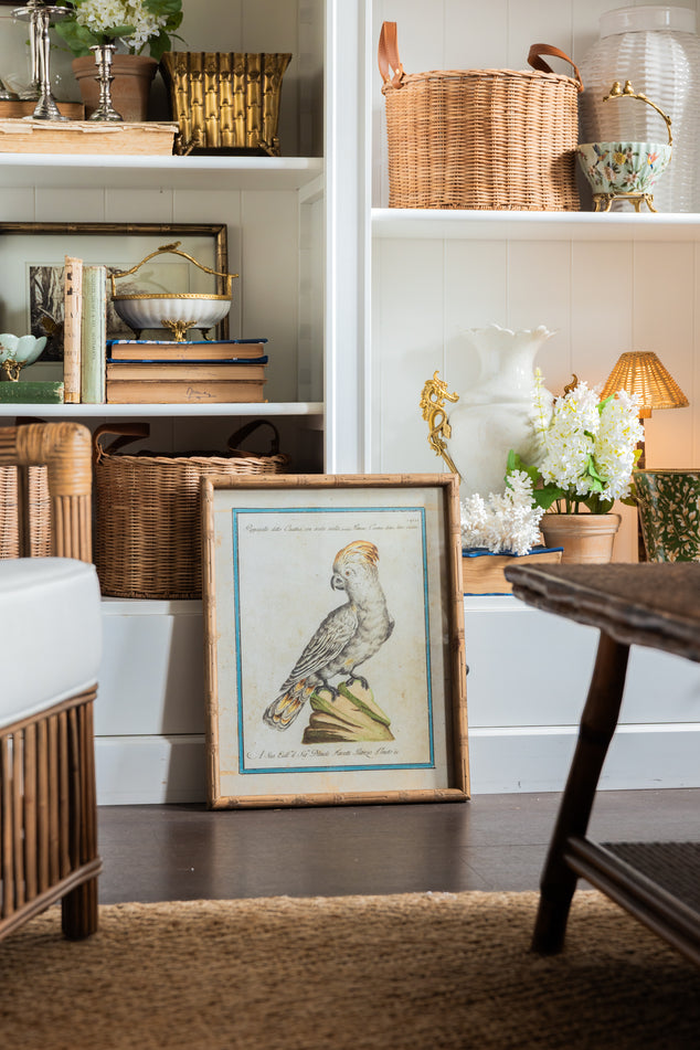 English Coastal living room with a variety of decor on bookshelf and framed parrot print