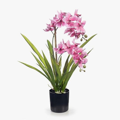 Artificial Ascocenda Orchid in Pot (Pink)