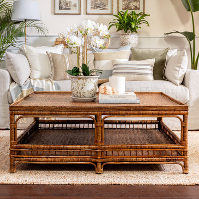Panama Rattan Coffee Table (Brown) Styled in Living Room with Plants and Books on it