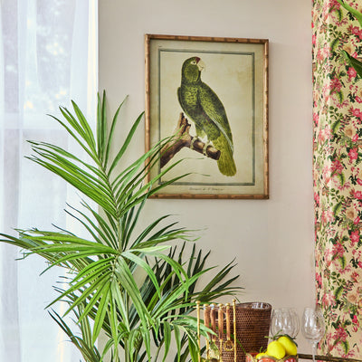 Parrot Looking Right in Bamboo Frame Styled