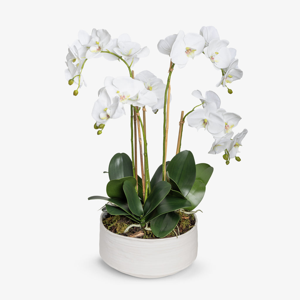 Artificial Flower Arrangement Orchid in White Bowl 64cm