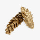 Pinecones In Box Large