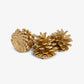 Pinecones In Box Group