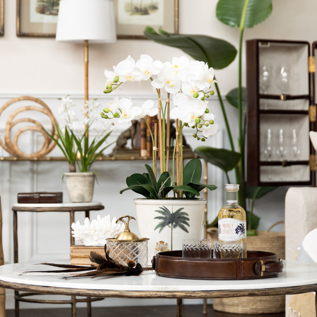 Palm Tree Hexagon Glass Box (Brass) Styled on Coffee Table with Leather Accents and Feathers