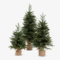Three Vermont Pre Lit Christmas Trees in different sizes