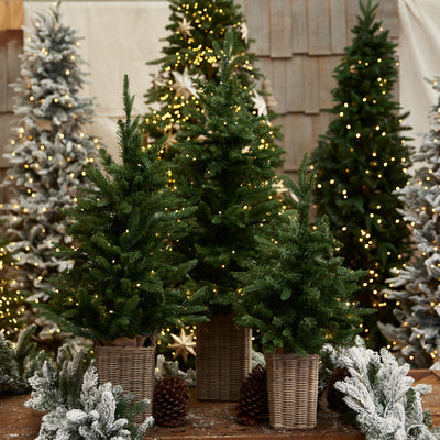 Vermont Potted Pre-Lit Christmas Trees Styled