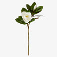 White Magnolia Grand Flower with Bud 76cm