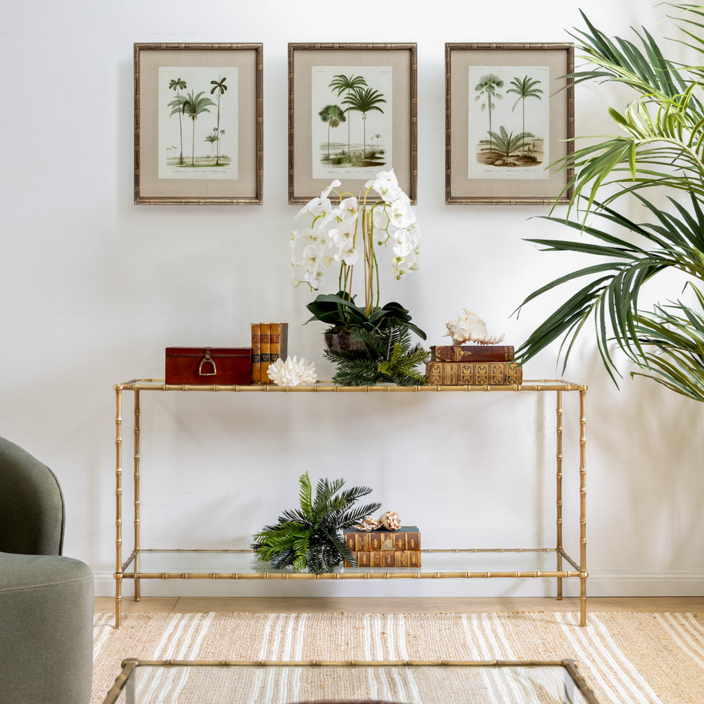 St Kitts Glass & Brass Bamboo Console Styled in Living Room Under Prints with Plants on it and Books
