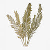 Artificial Palm Stem Set Of 5 Front View