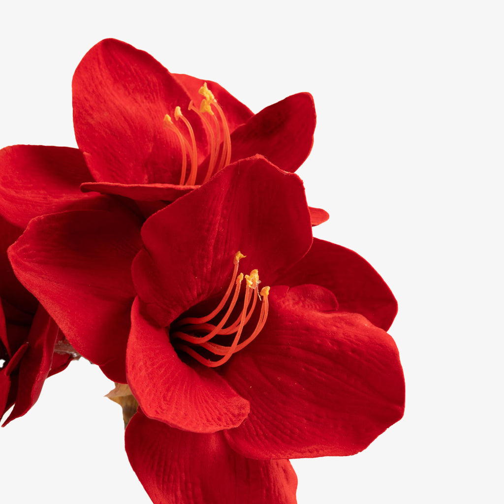 Artificial Amaryllis In Black Pot (Red)
