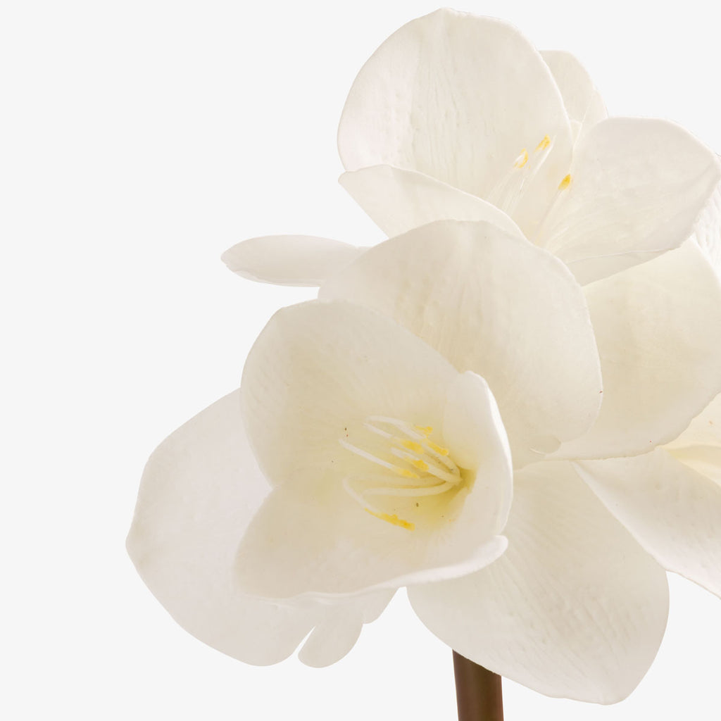 Artificial Amaryllis In Black Pot (White) Close Up