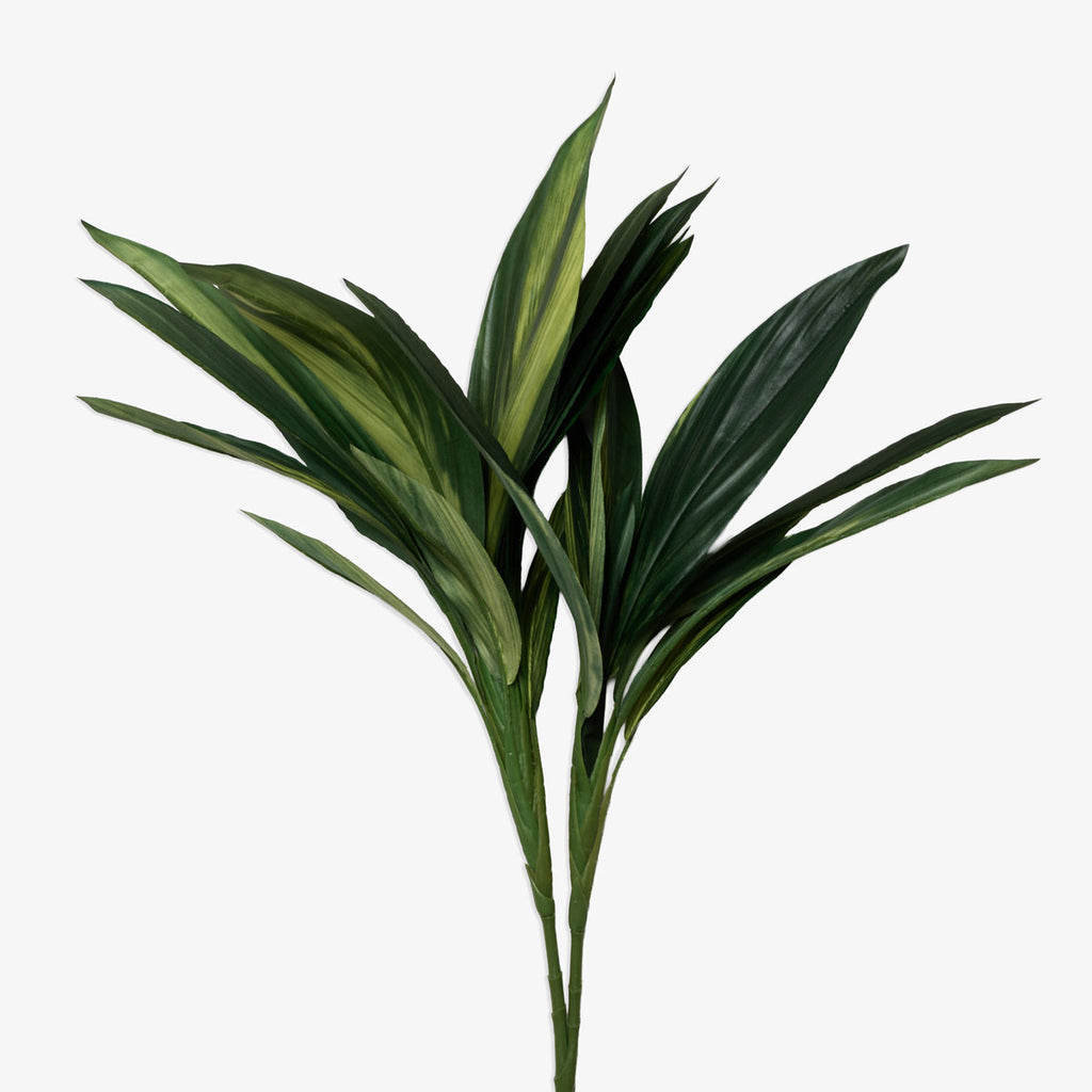Artificial Cordyline Spray Green 76cm Front View