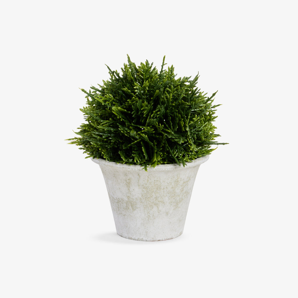 Artificial Cypress Ball Topiary in Pot 15cm Front View