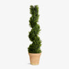 Artificial Cypress Topiary 132cm Front View