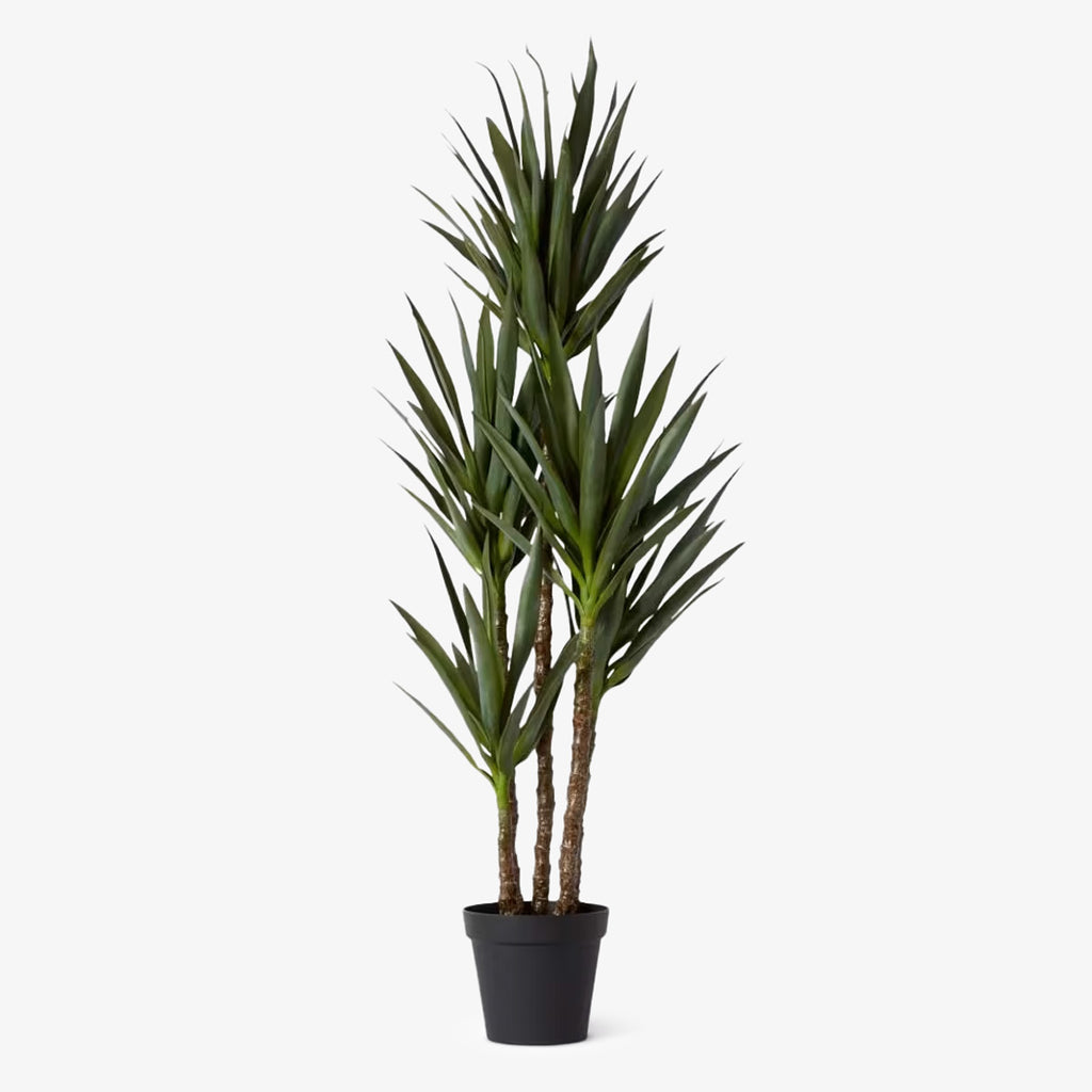 Artificial Dracaena Spikey Plants Front