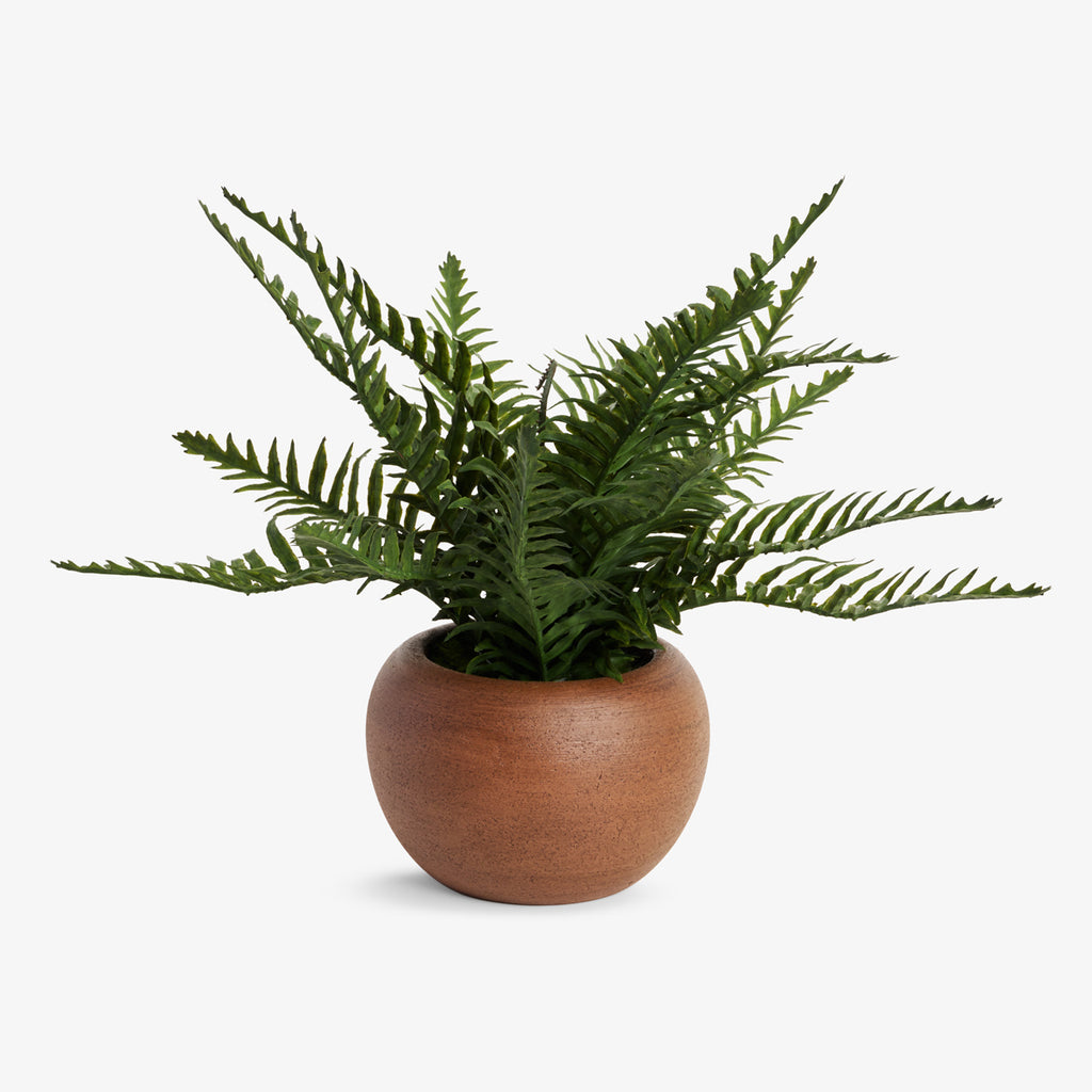 Artificial Fern Arrangement 26cm Front View