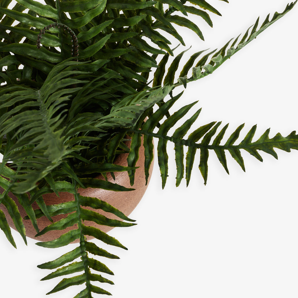 Artificial Fern Arrangement 26cm Close Up