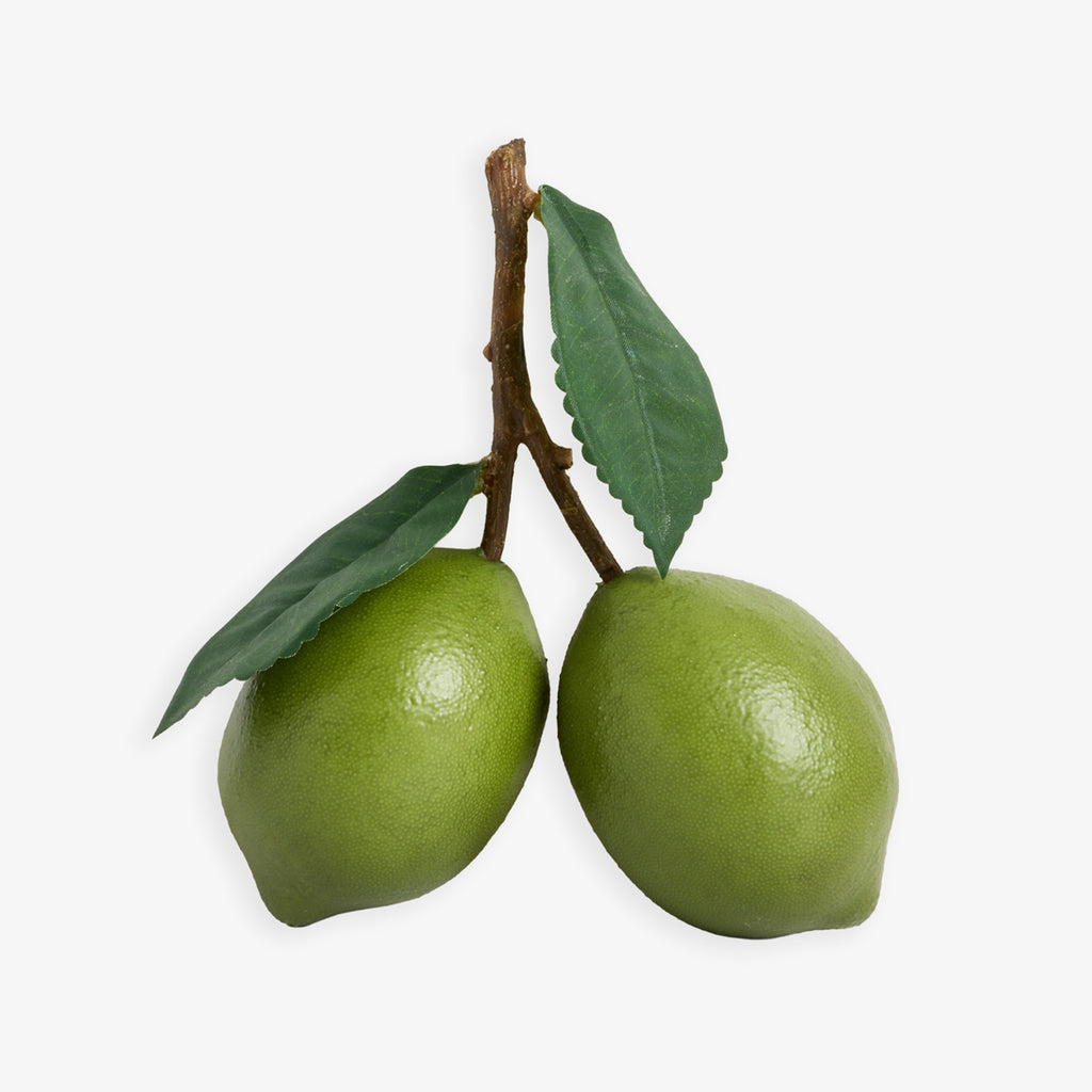 Artificial Pair Of Limes Front View