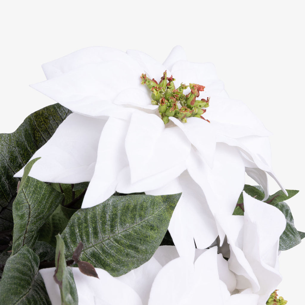 Artificial Poinsettia Posy (White) Close Up