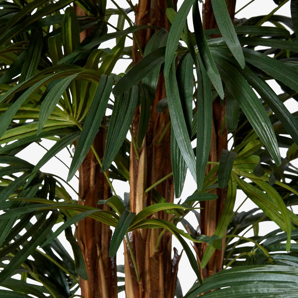 Artificial Raphis Lady Palms Close Up
